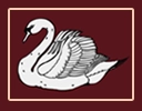 White swan with detailed wings drawn in black outline, set against a maroon background with a thin light-colored border.